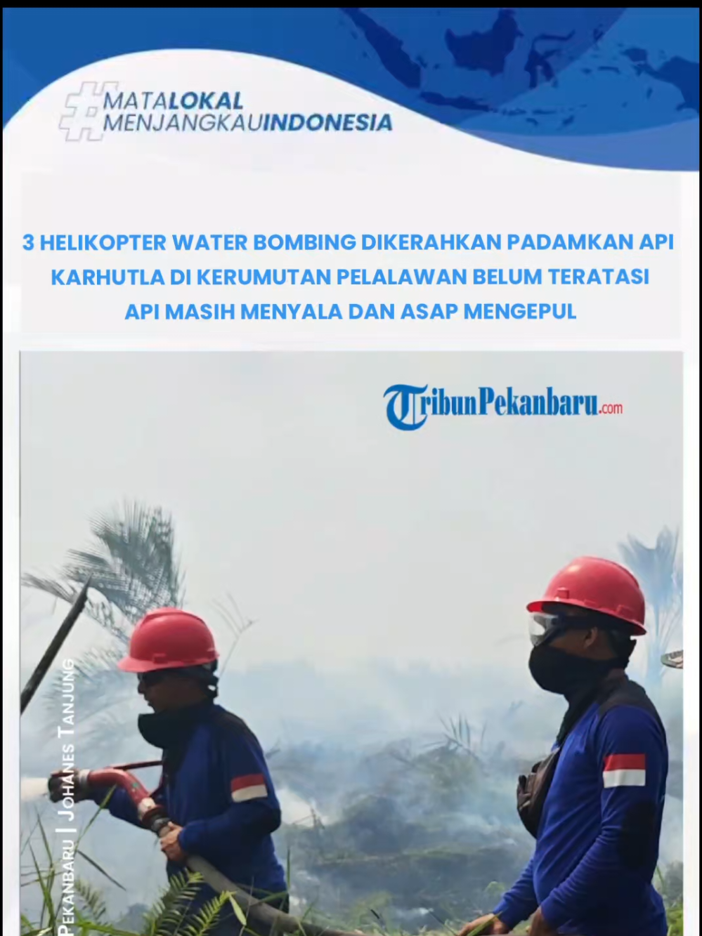 @Tribun Pekanbaru