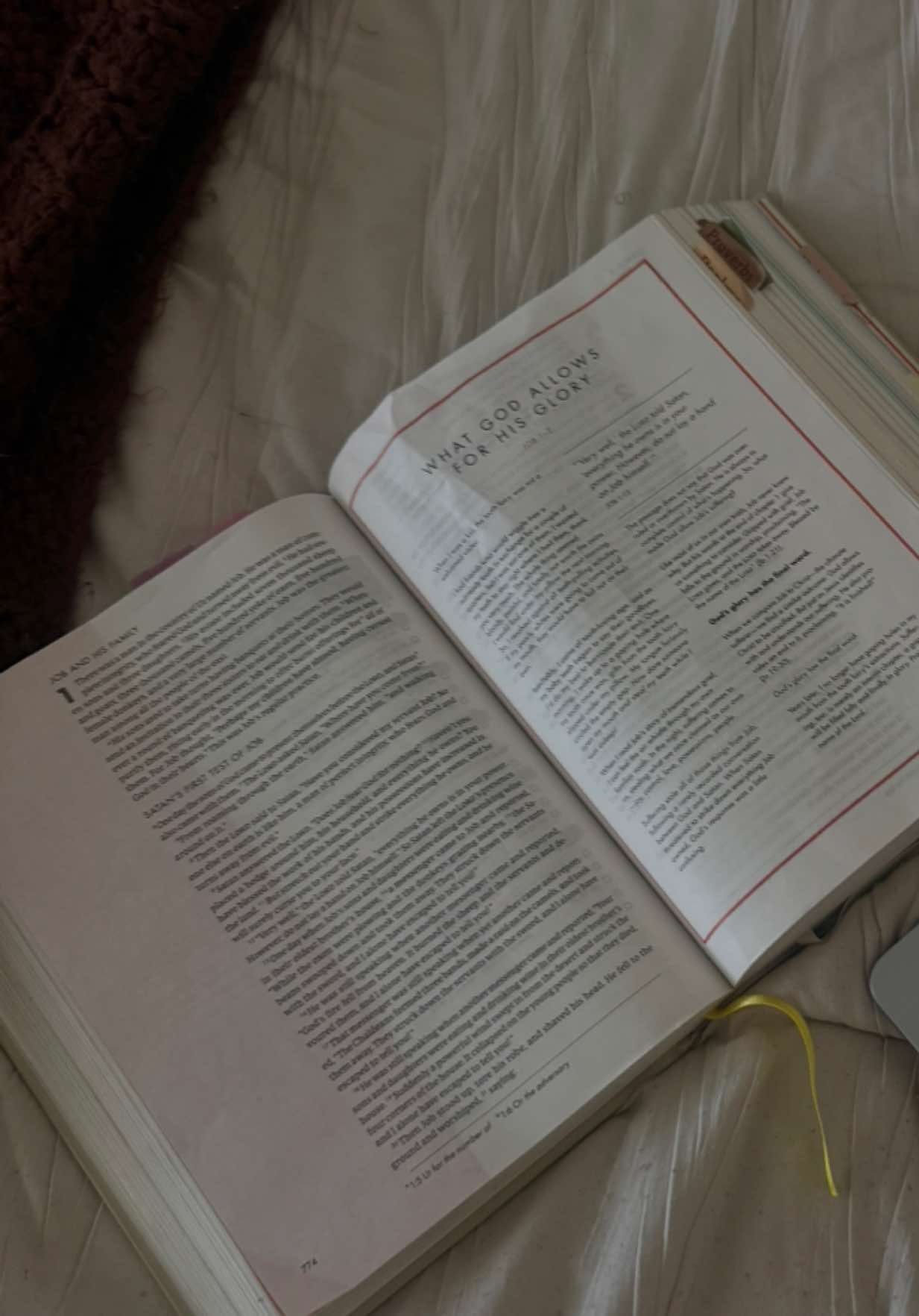 @K a m a r a l y