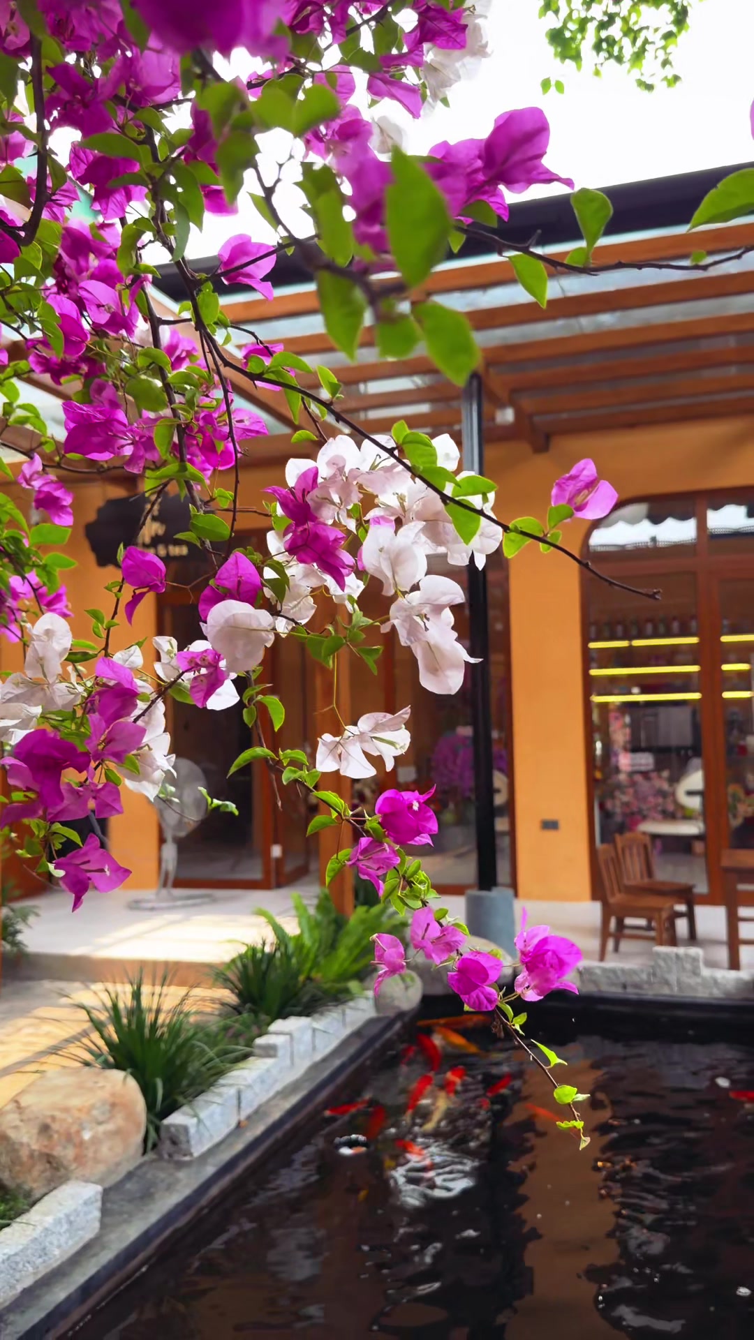 @Lang Thang Hà Tĩnh