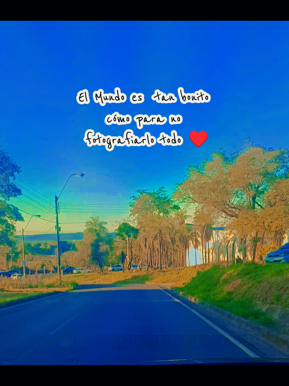 @Analia Vill