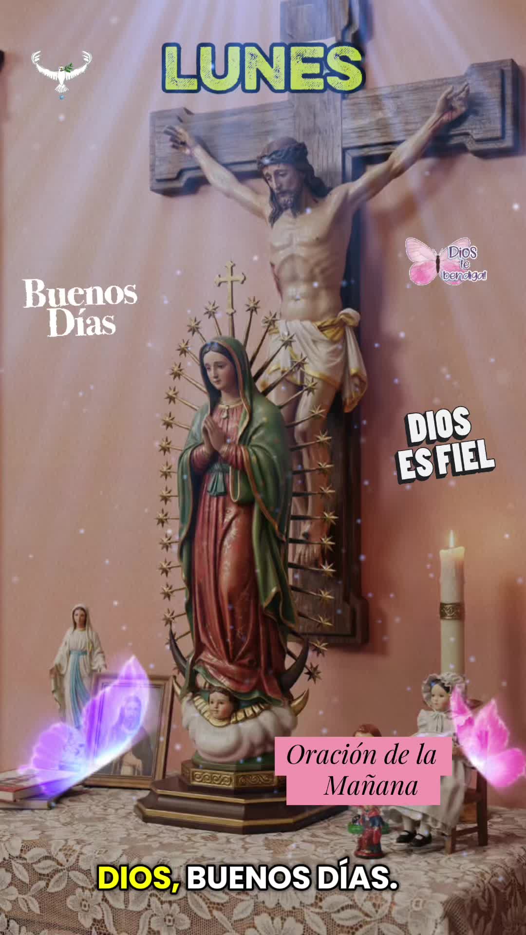 @Lupita Molina745