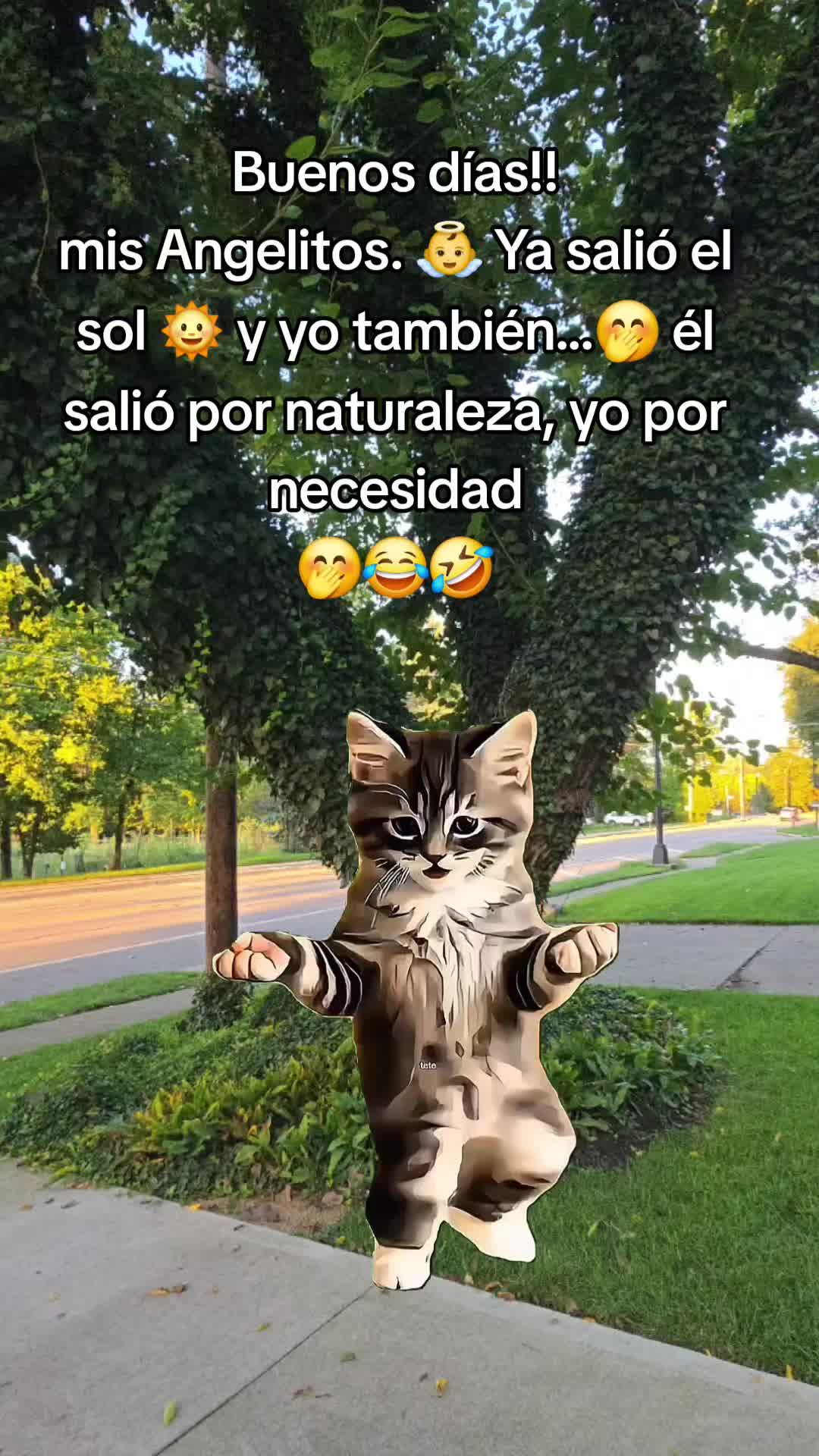 @acuario1978