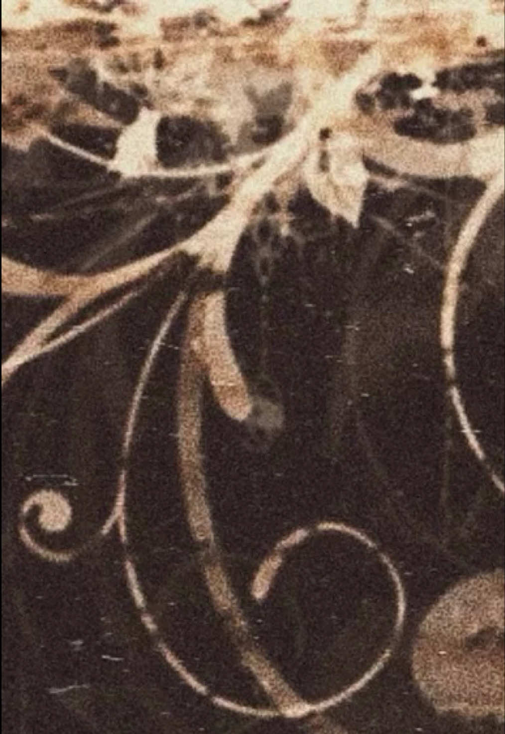 @𝐥𝐞𝐱𝐢𝐢 .˳⁺୨୧˚⋆