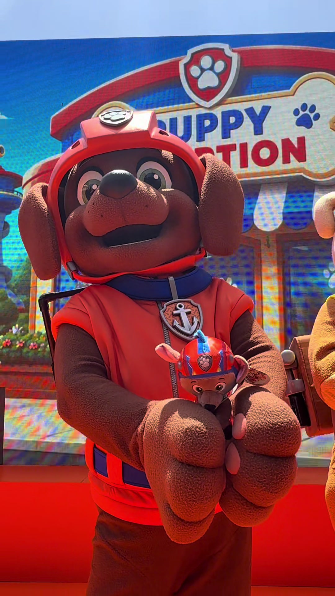 @pawpatrol