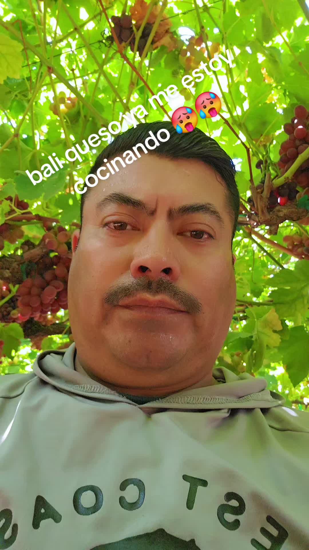 @fulgencio🤠