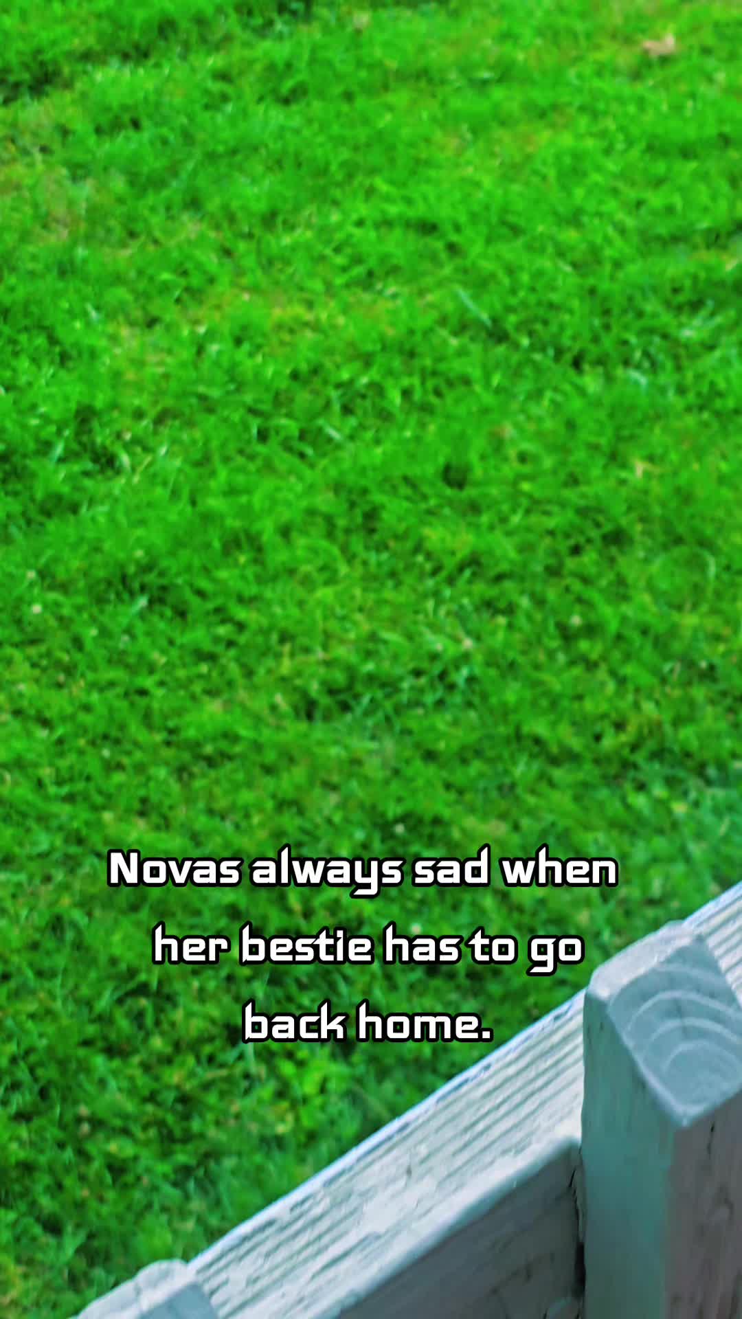 @Mr.Chief&Nova