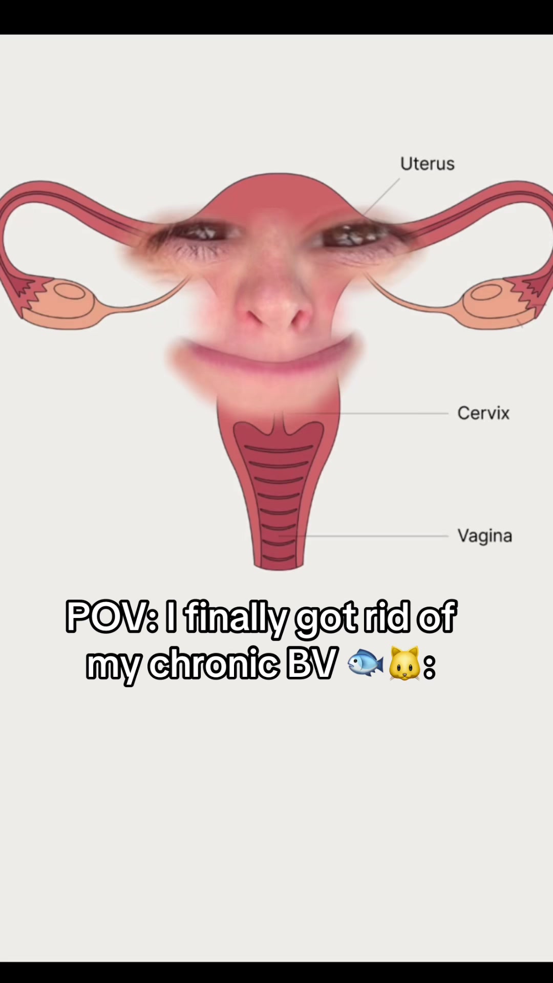 @Evvy