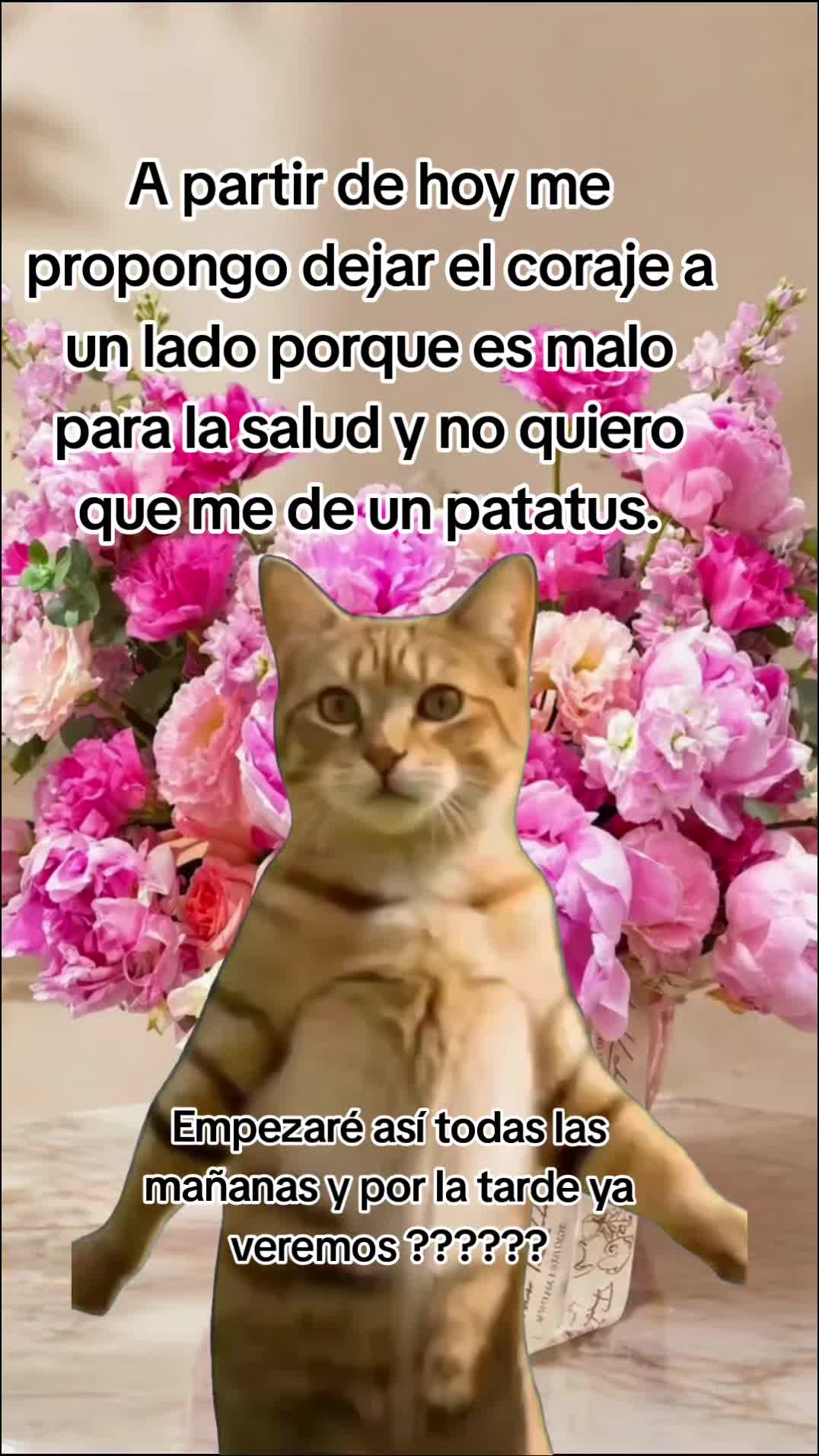 @ingridm
