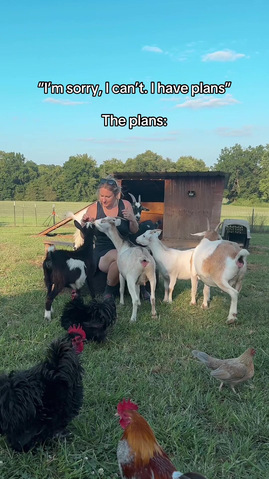 @Momma Tay🐐🐓👩🏼&zwj;🌾💕