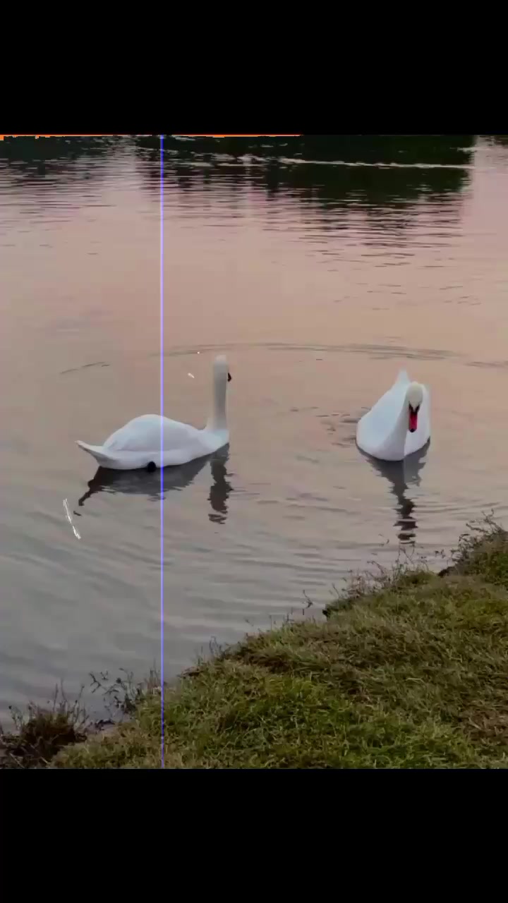 @𝙁𝘼ح𝘼𝘿 𝙈𝙞ر𝙯𝙖 🥀