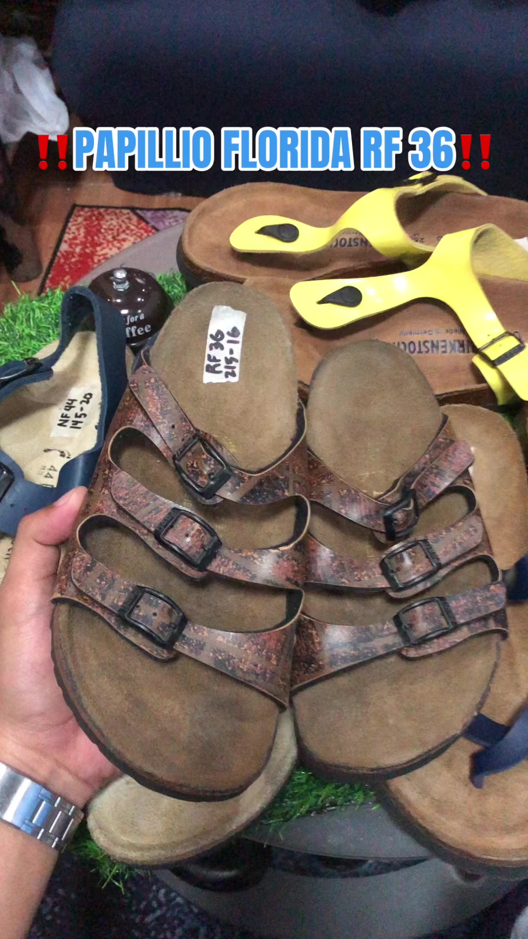 @DAILY BIRKS