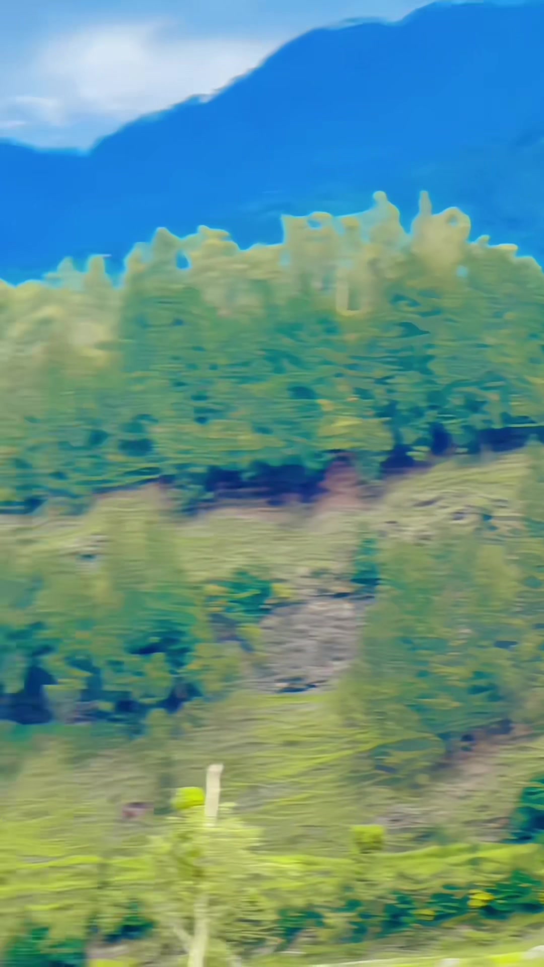 @سنى خان نیازی 💫🤍🦋