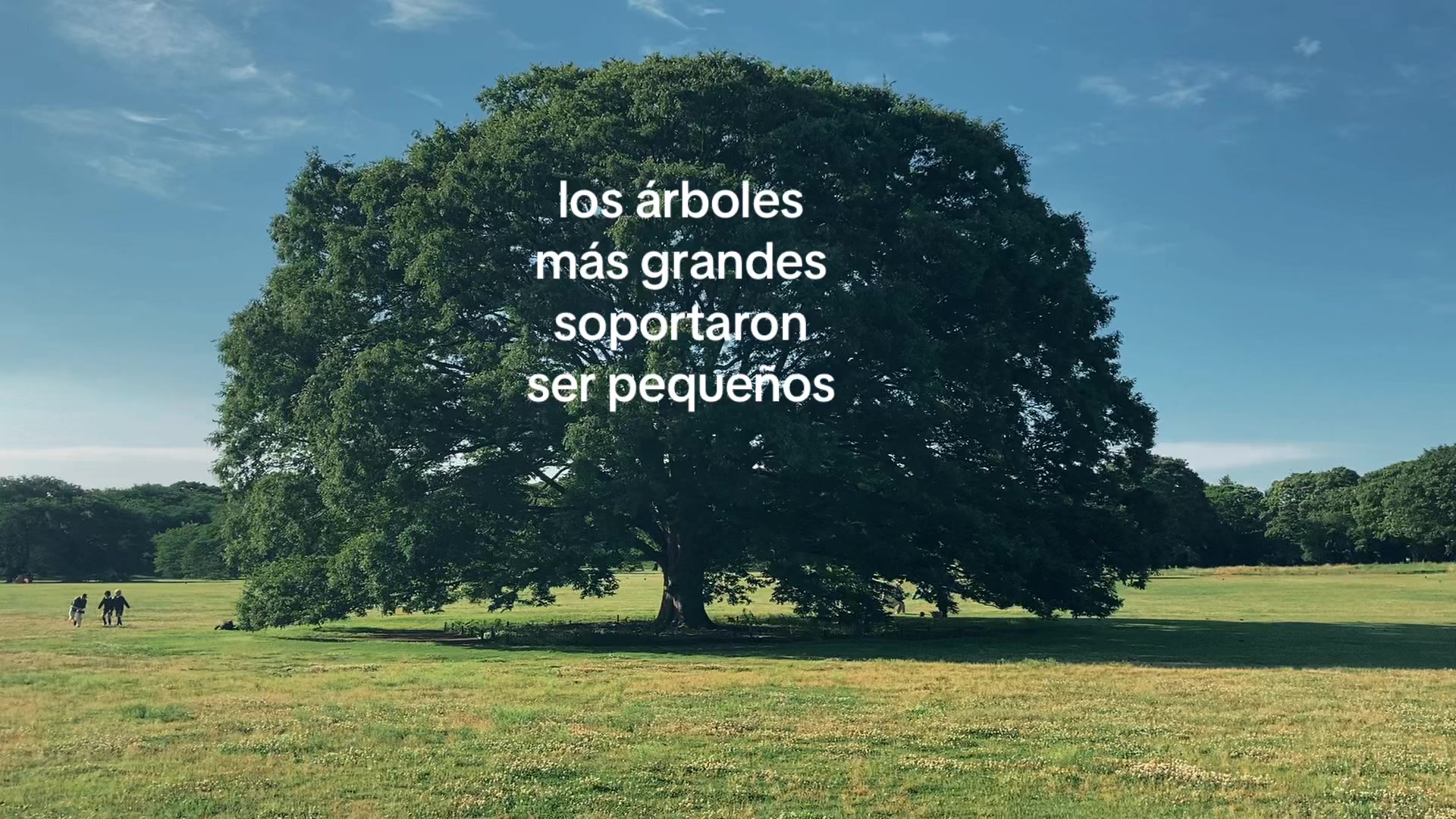 @CaracolArchives