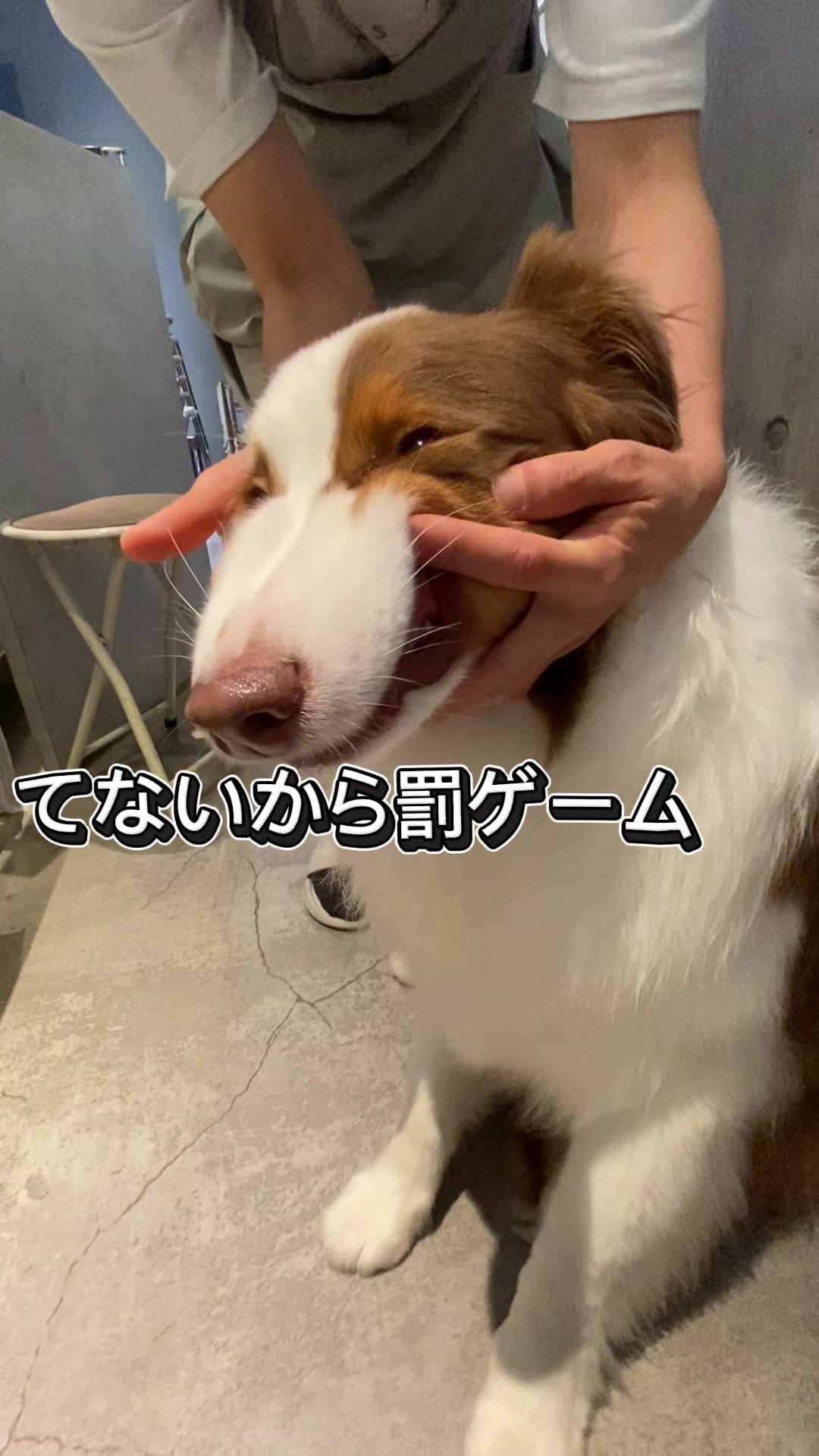 @サン&タマ