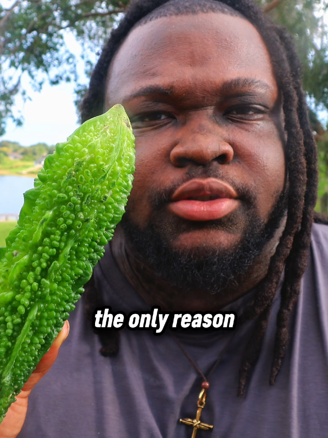 @Shawn Grows