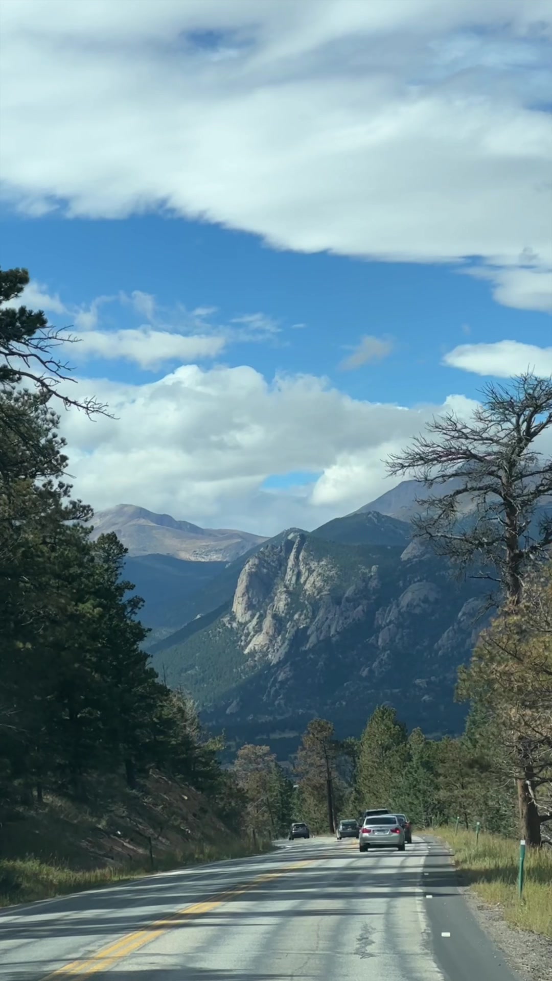 @Estes Pines