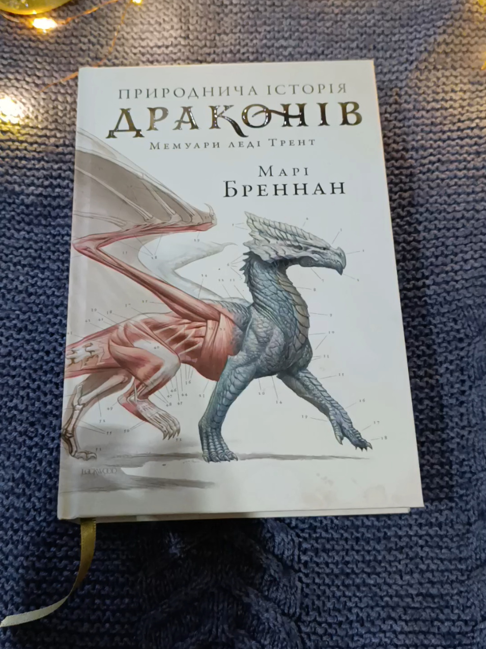 @Дар'я Чернега