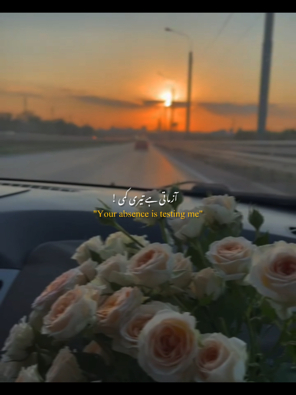 @𝙉𝘼𝘿𝙀𝙀𝙈-🐼🥂