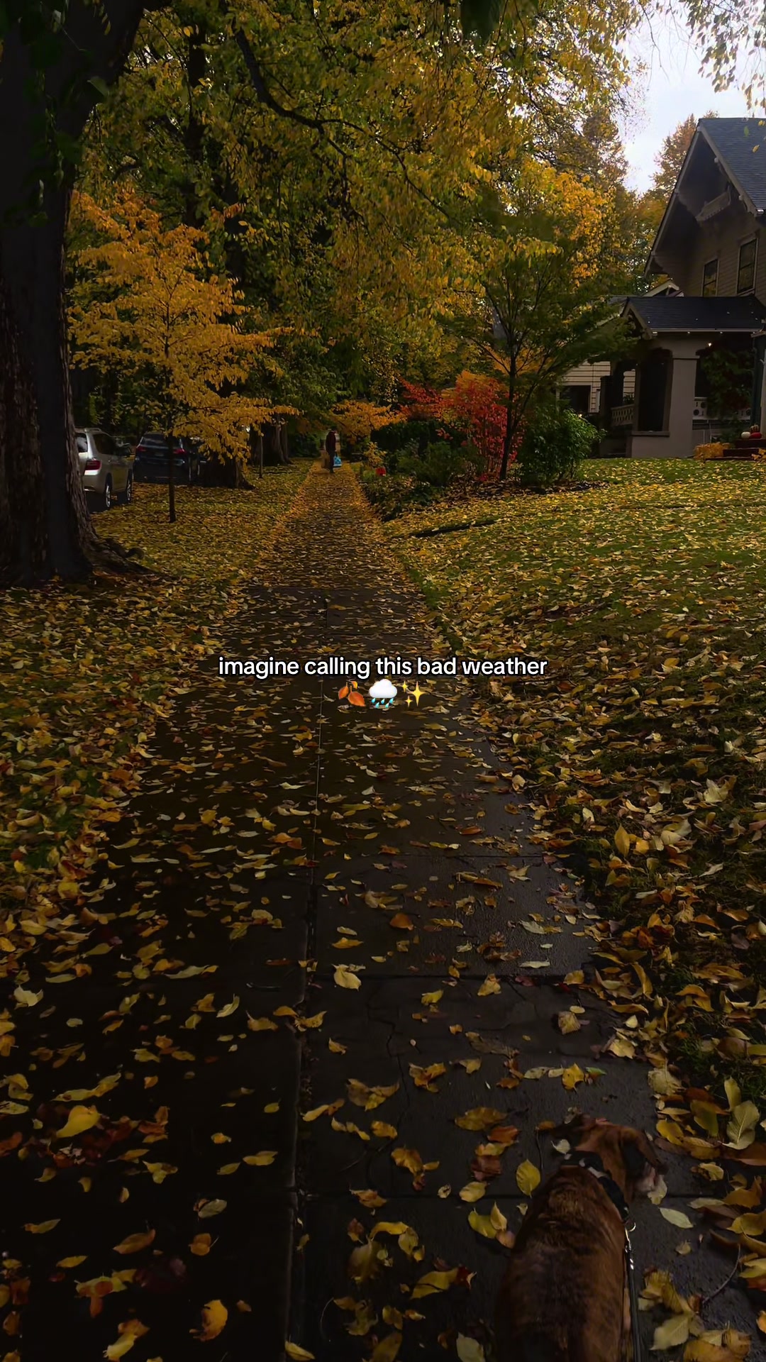@･ﾟsteph🍂💌˚⋆