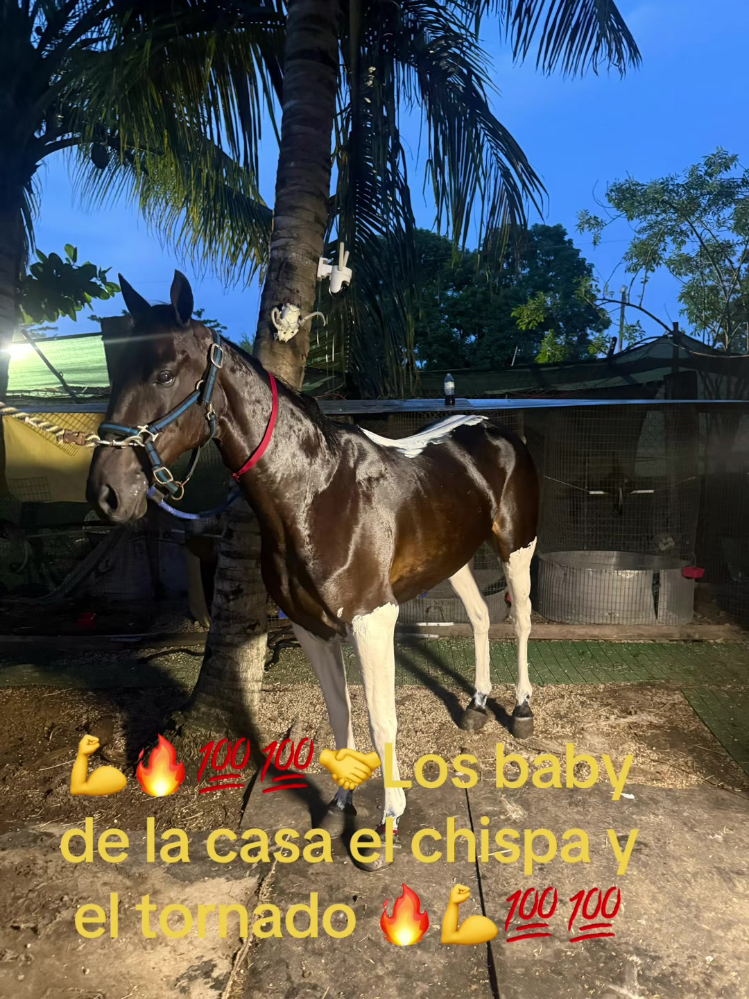 @🔥🔥❤️EL FEO ❤️🔥🔥