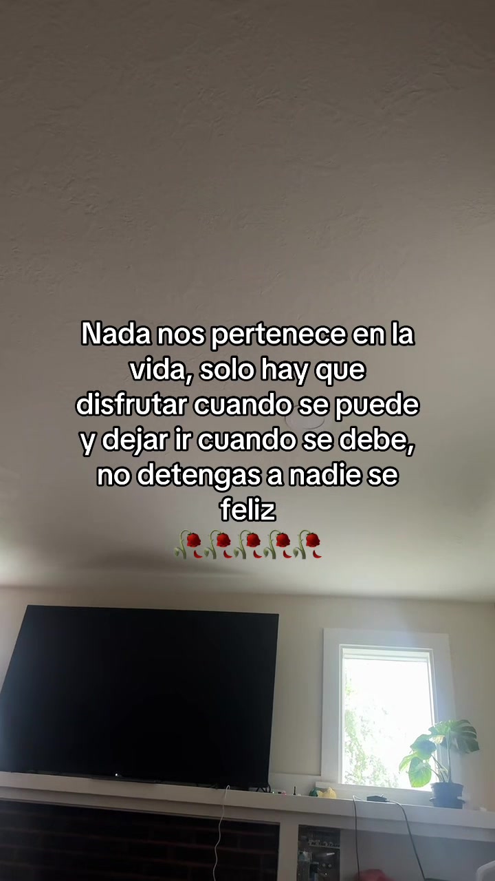 @pablocarbajal63