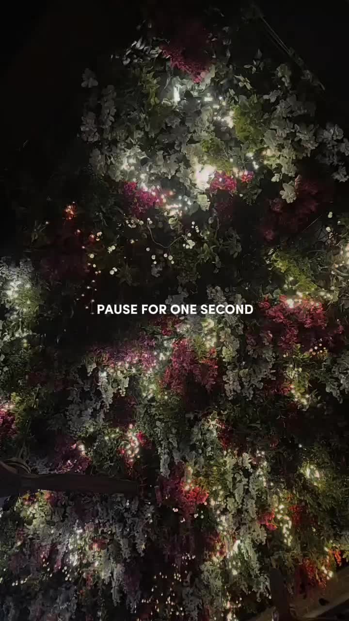 @theholbrand