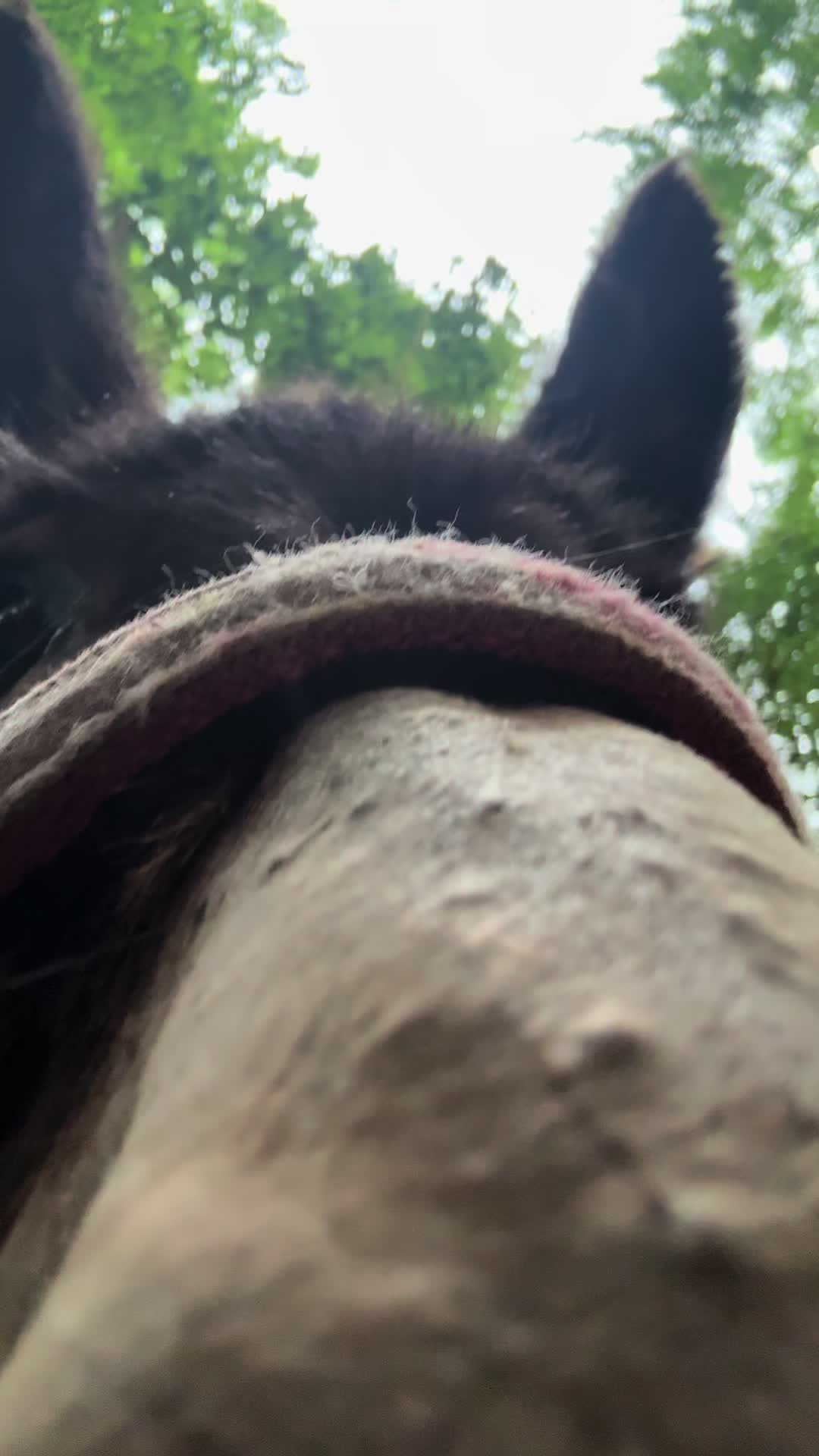 @JEPsFarm