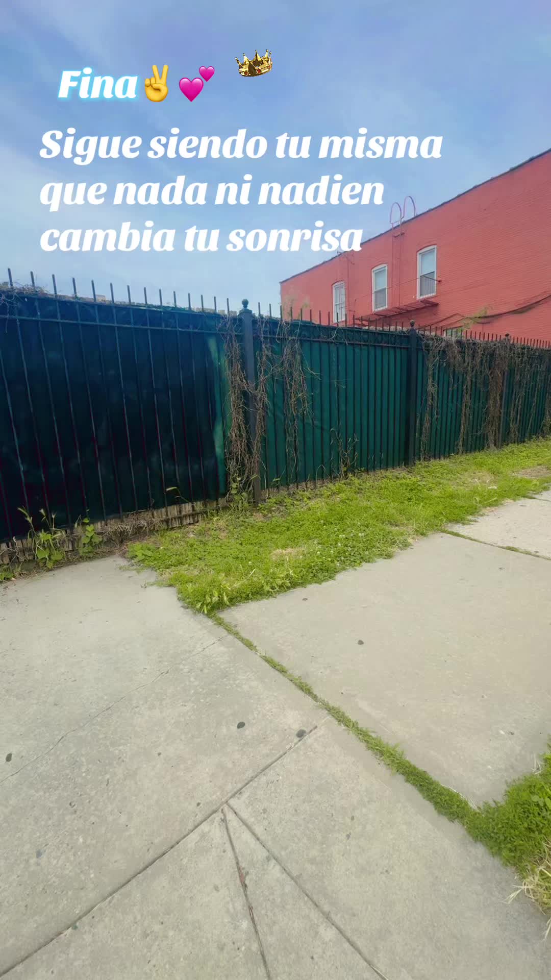 @👑 🐇🌶️🌳🇲🇽F1N@🫡🧸