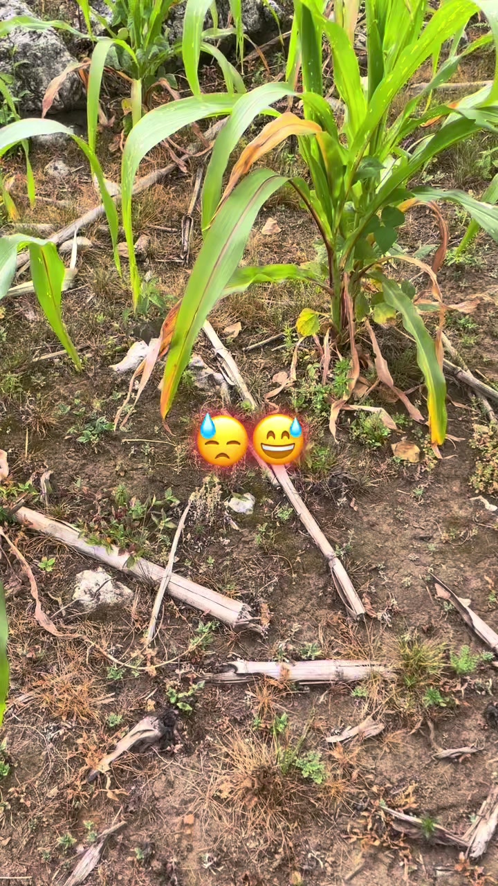 @🕸️🧔🏽كوYímį