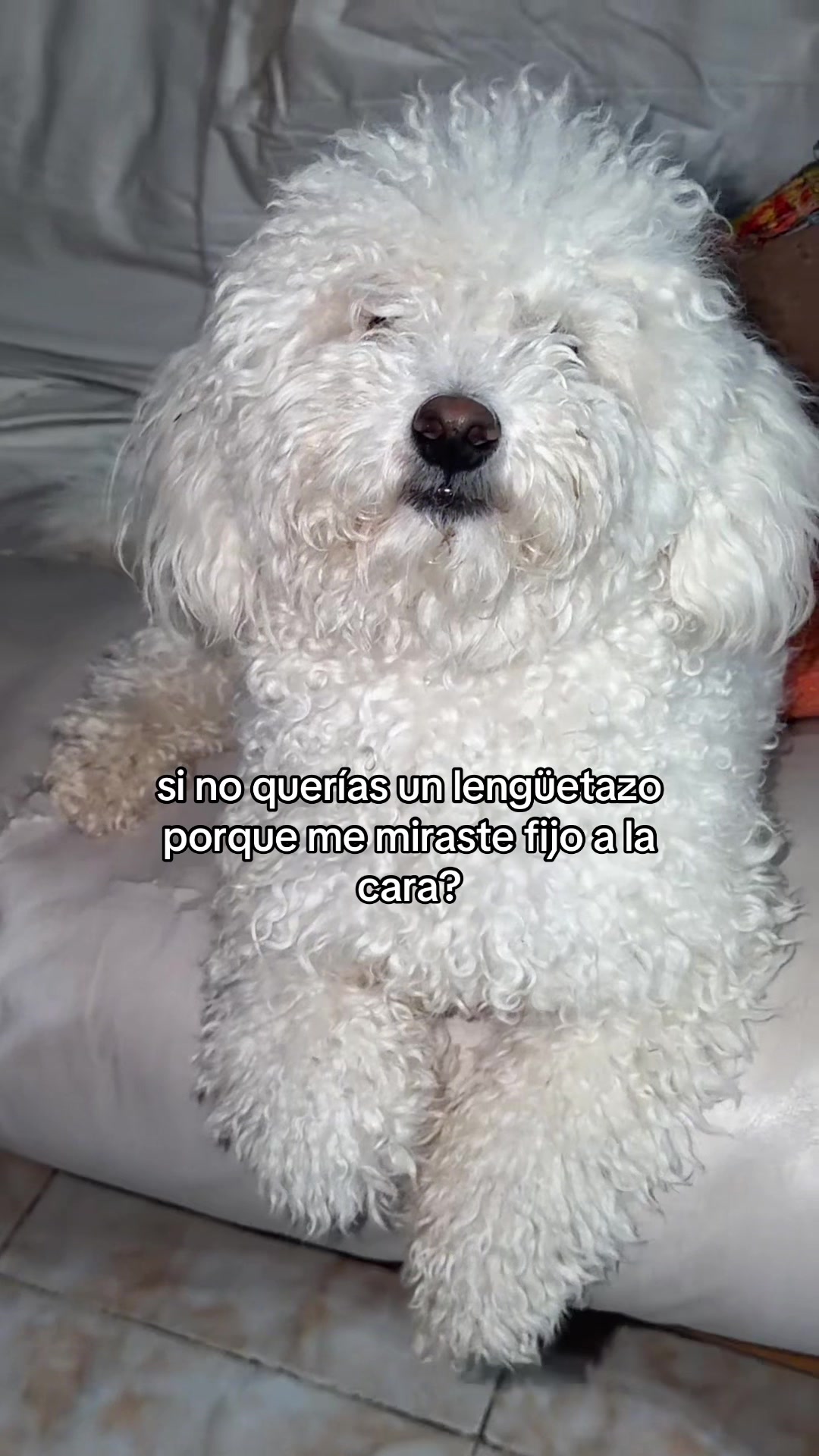 @pilargarcia122