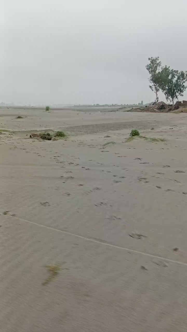 @عمران نوناری