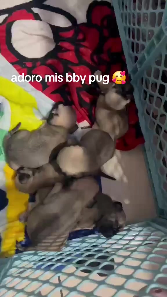 @Kary Rodriguez