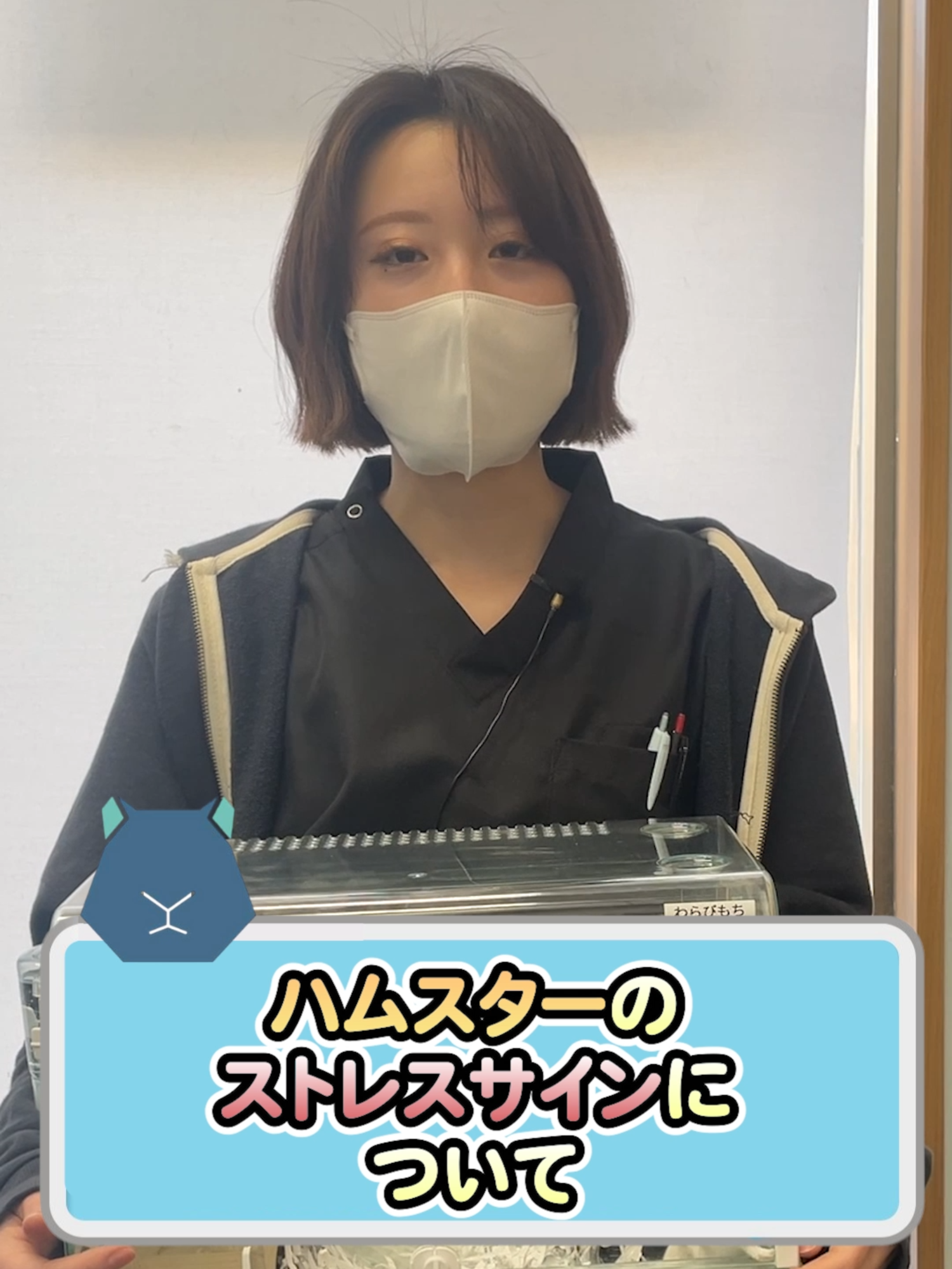 @オダガワ動物病院