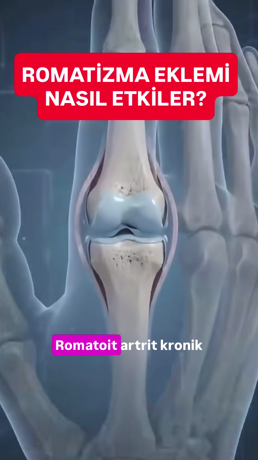 @Dr. Beşir Şahin İnceer