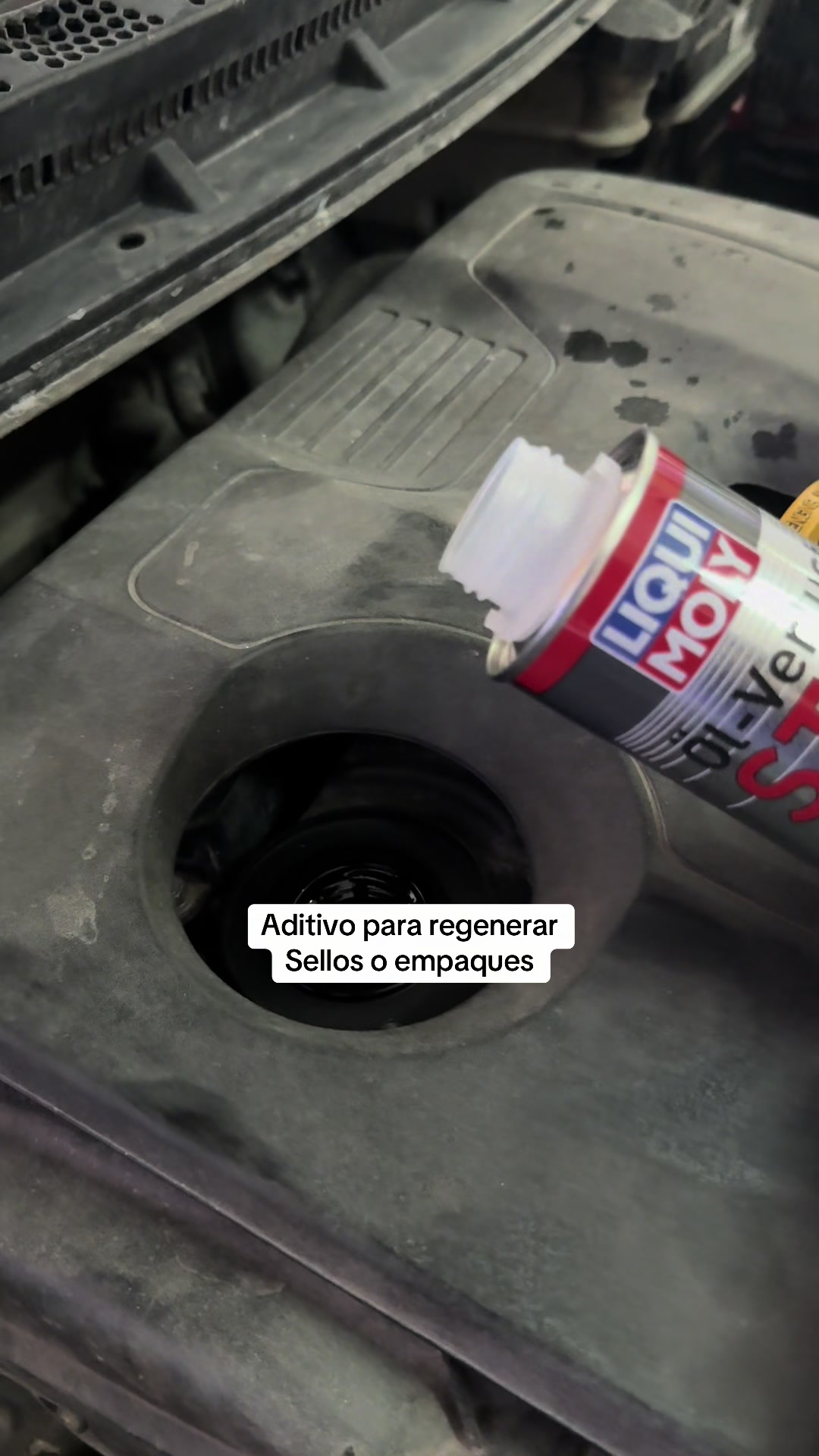 @Liquimoly El Salvador
