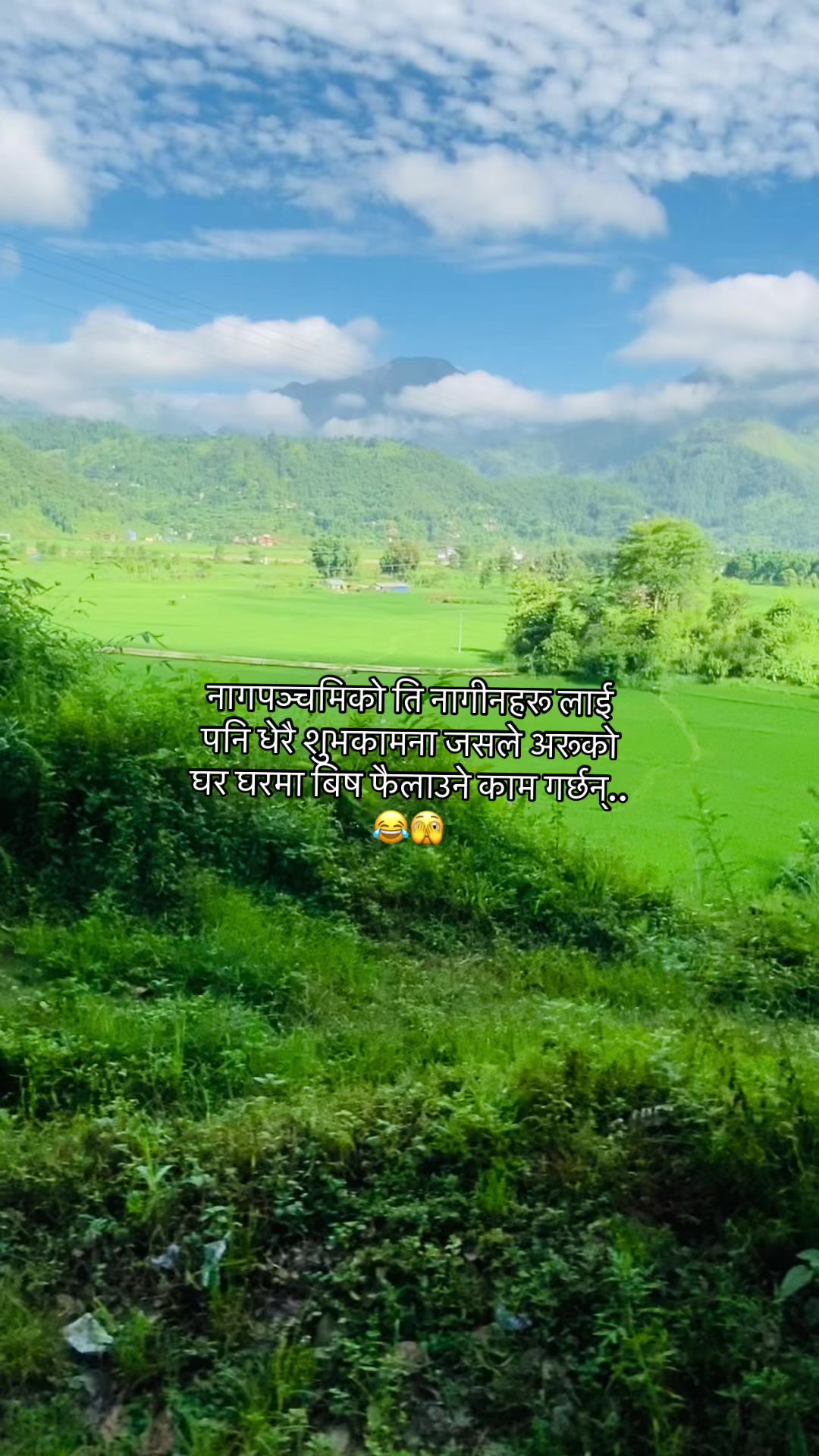@🍃