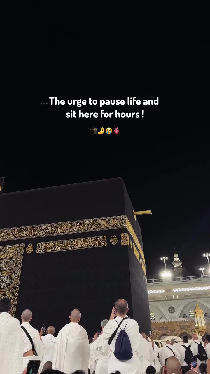 @𝑺𝒉𝒂𝒊𝒏𝒂 ✨❤️