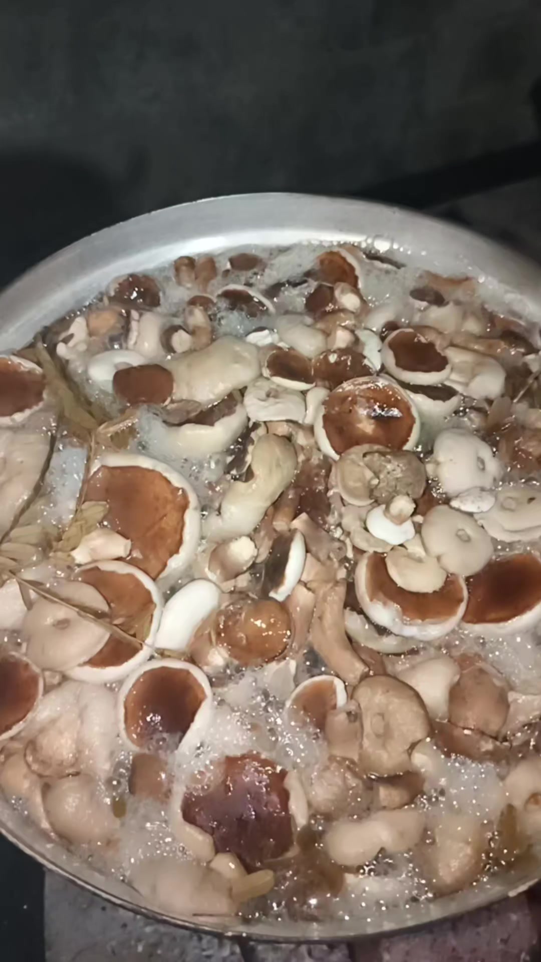 @Ater7985
