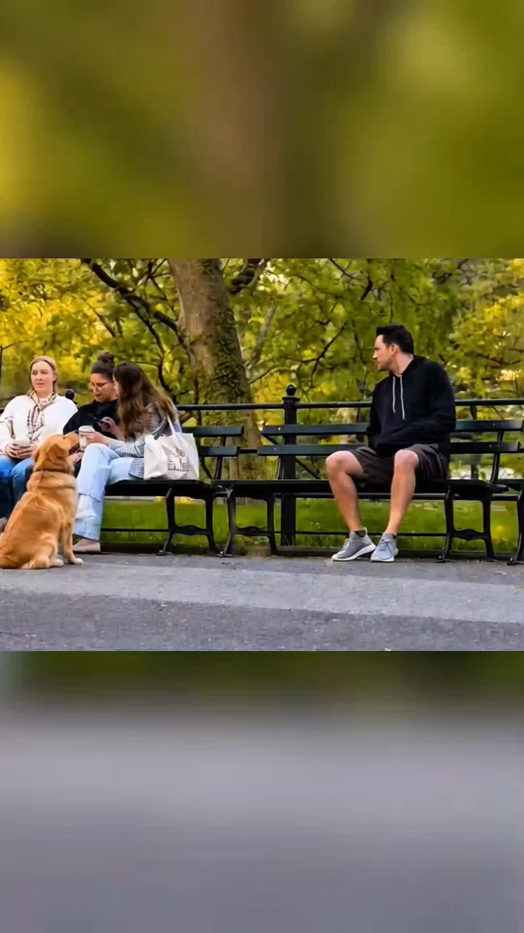 @viral..fart