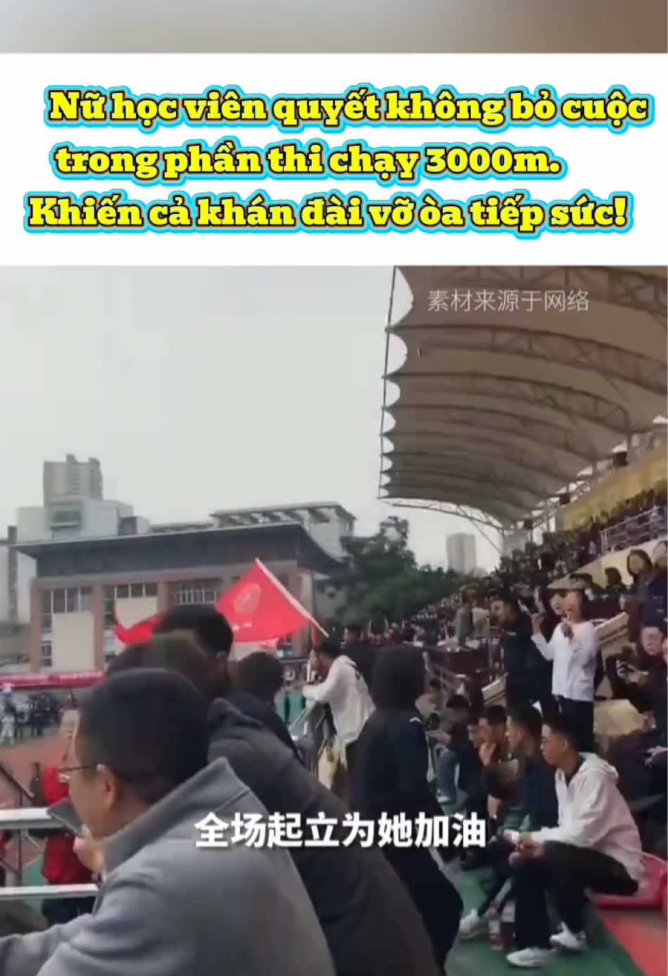 @🍉🍉 KÊNH GIẢI TRÍ 😝😝
