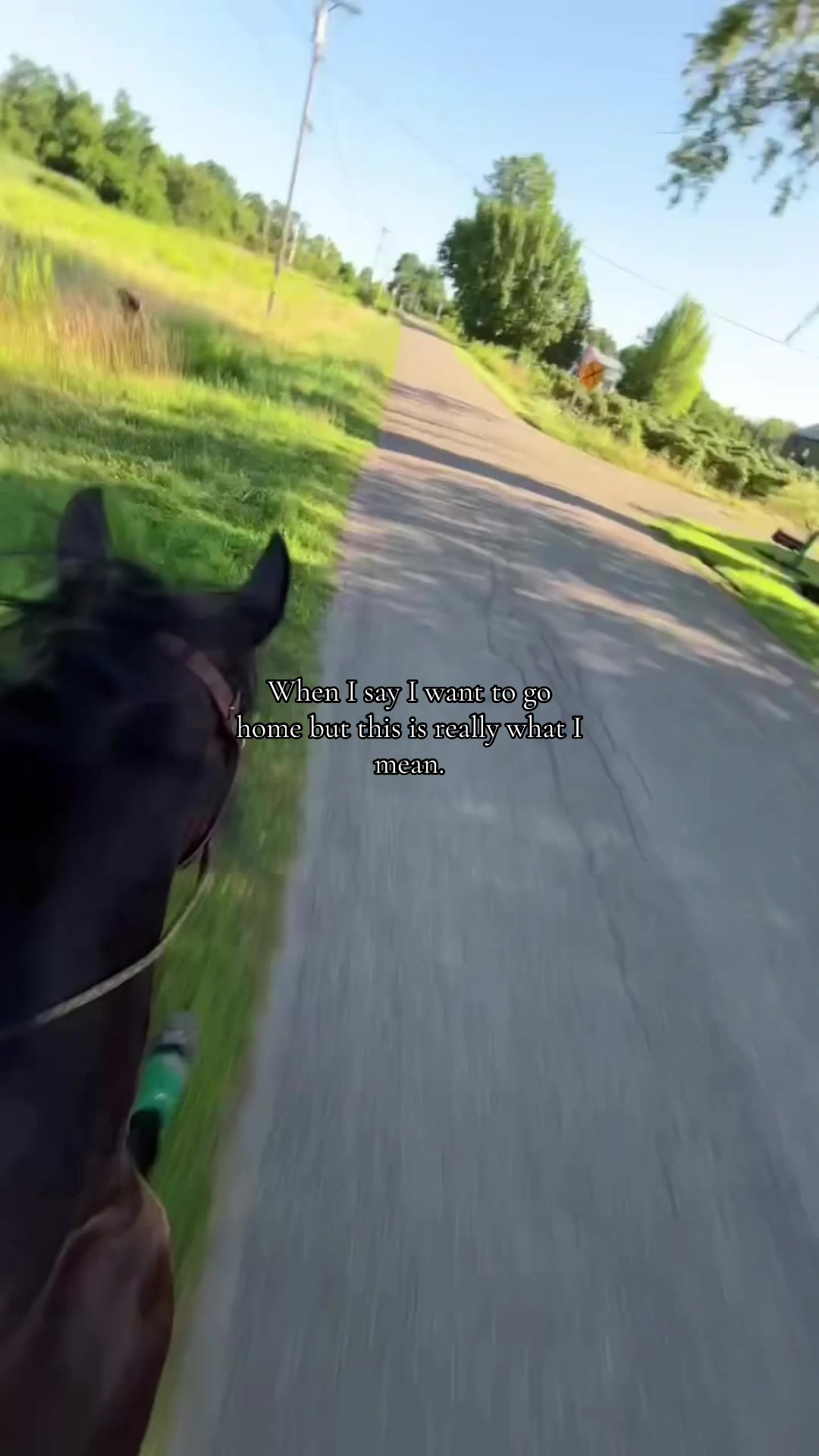 @Rikki🐎🐀