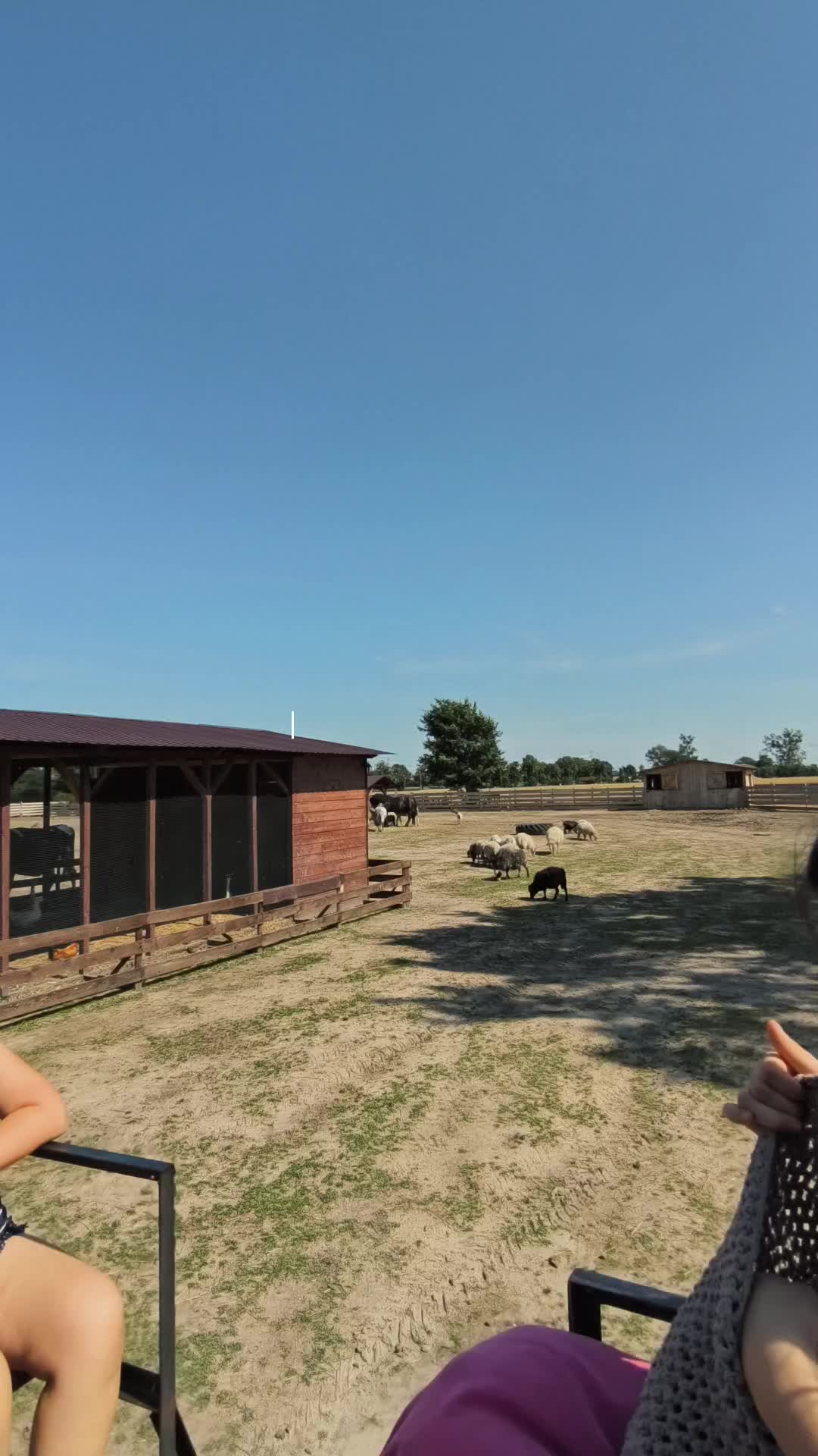 @Настя