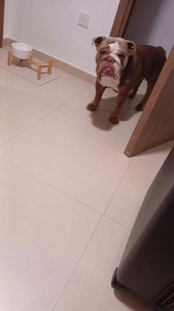 @🇵🇭MARIA🇦🇪