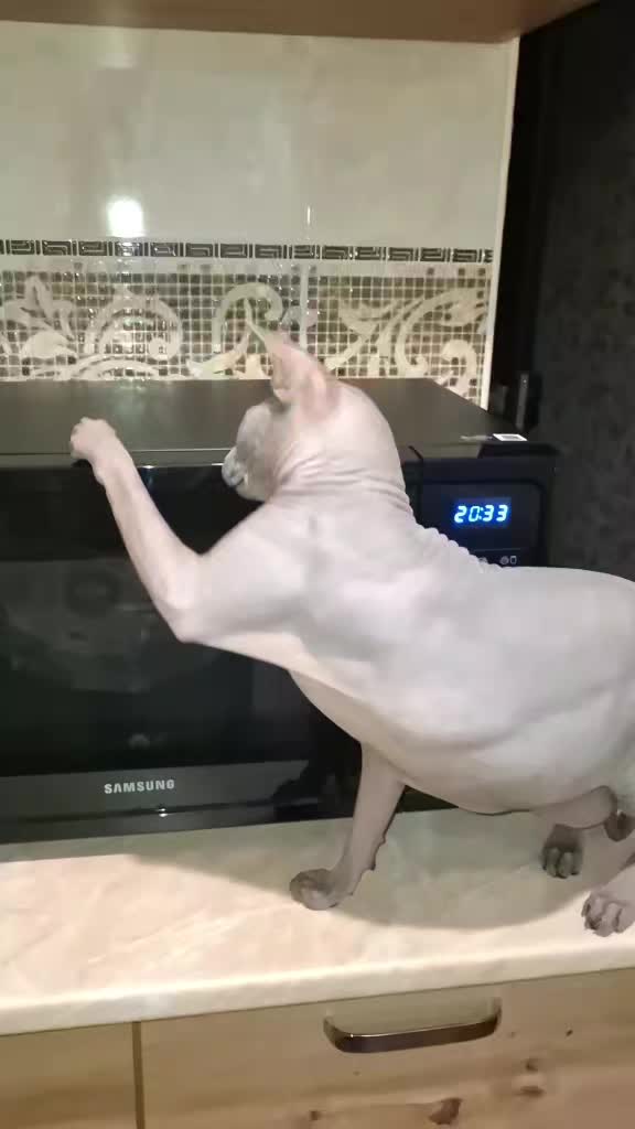 @Прогулки по Харькову