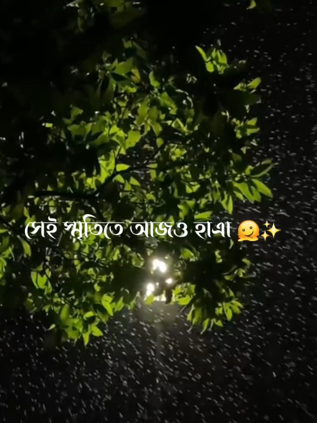@⚡ [ 𝐒𝐇𝐔𝐕𝐎 ] ⚡
