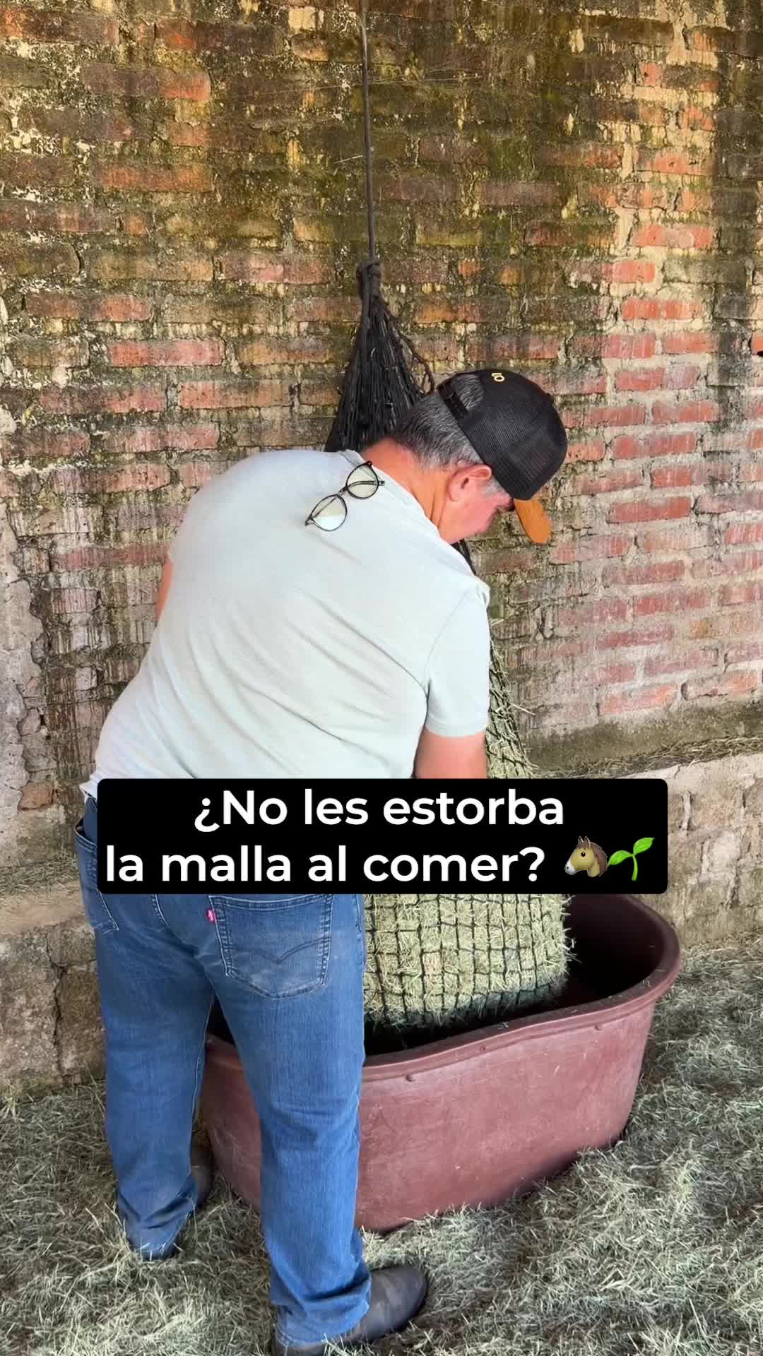 @Agua Zarca, Caballos Españoles