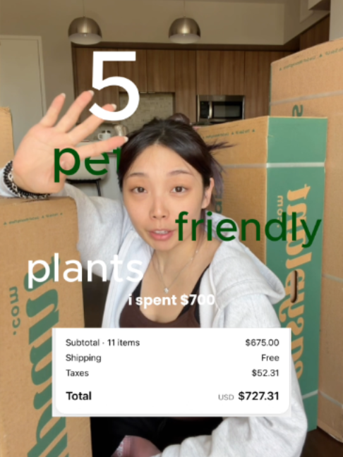@lily