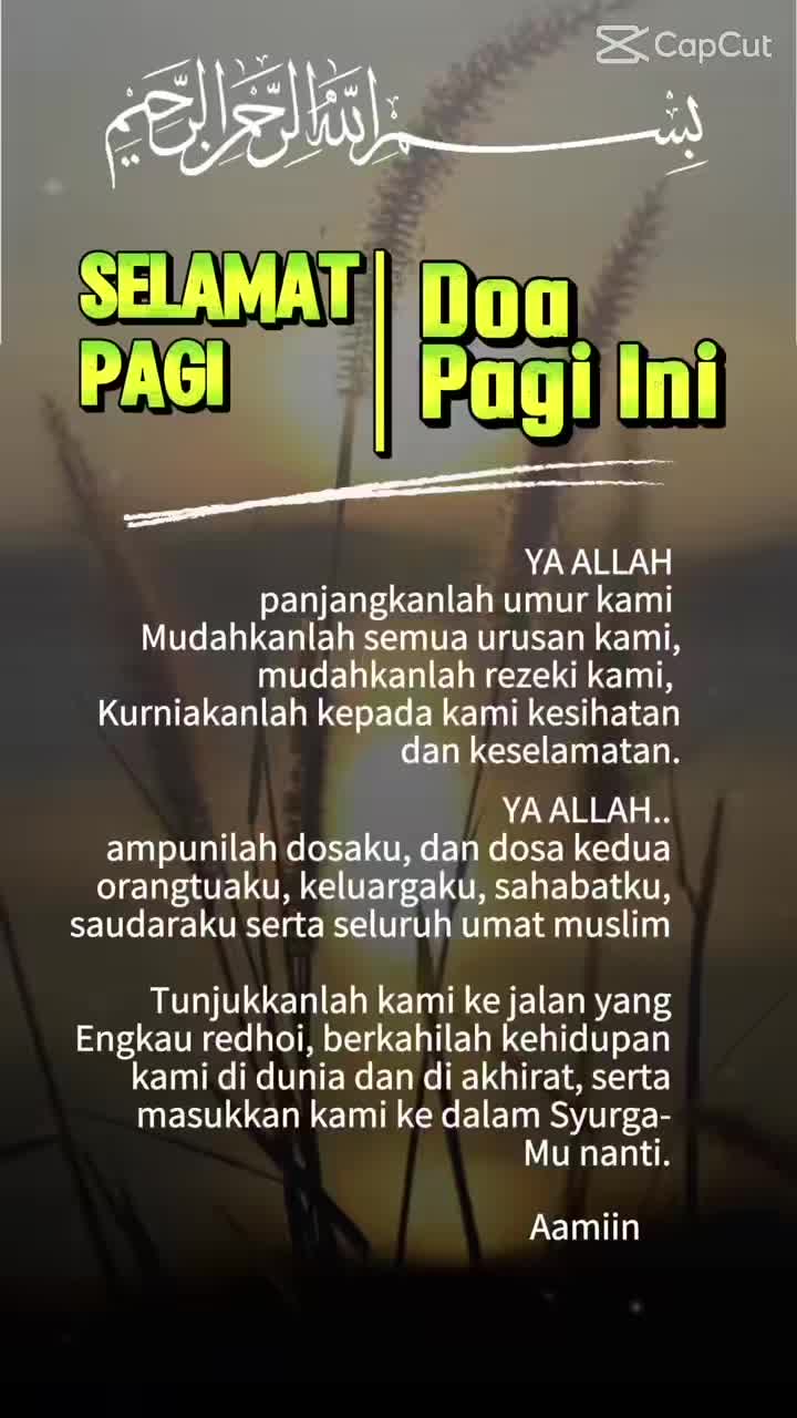 @Ella Amir