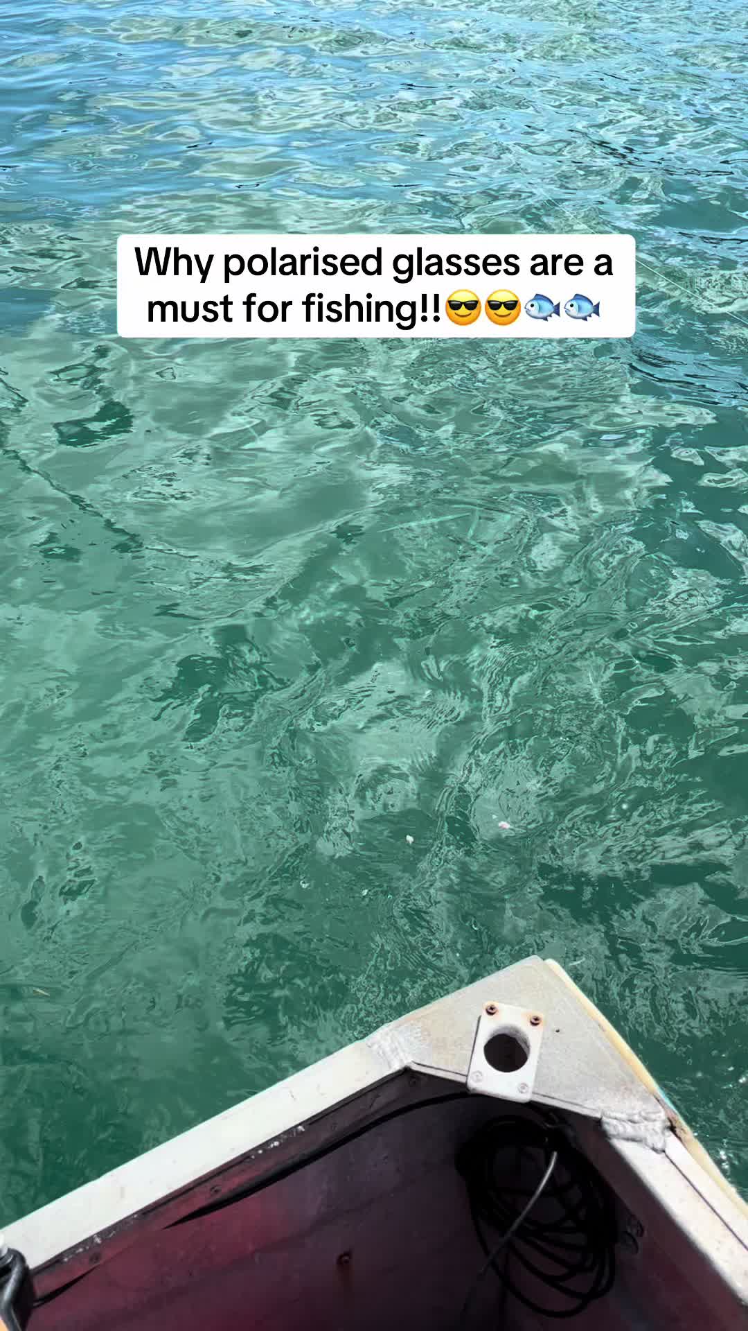 @Kodybro Nz Fishing🎣💯🏴☠️