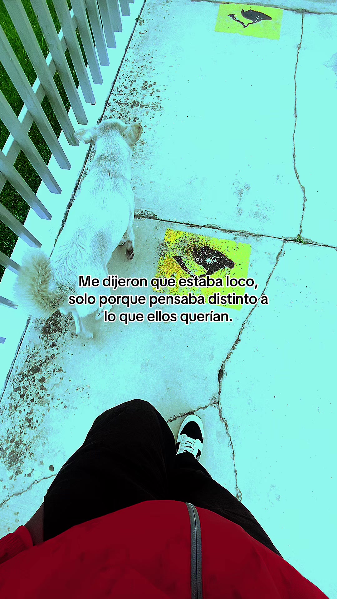 @markitos_mb1